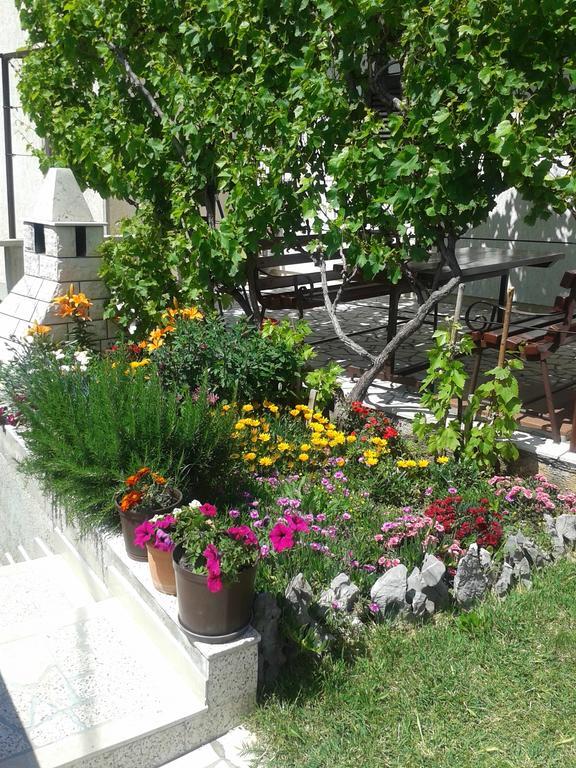 סנג' Apartment And Rooms Markovic חדר תמונה